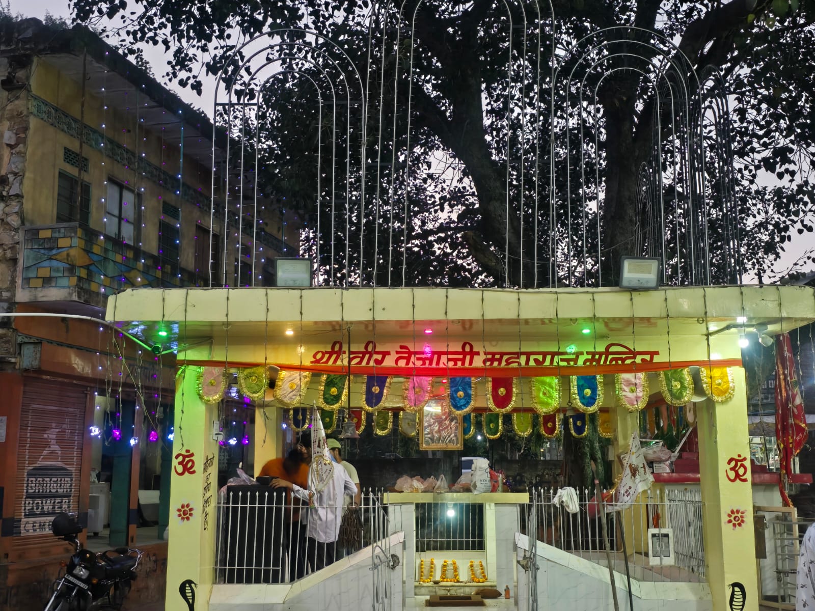 श्री तेजाजी महाराज के पावन मेले का भव्य शुभारंभ