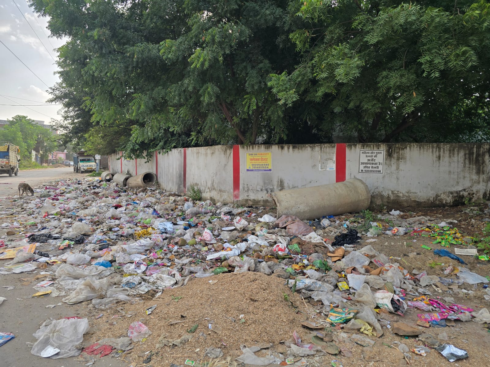 ब्रेकिंग न्यूज़ | वार्ड 150 में सफाई व्यवस्था पर उठे सवाल
